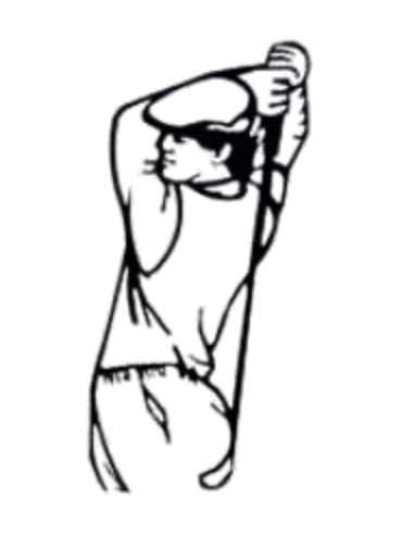 Escultura de Pared de Forja Modelo 800BI G